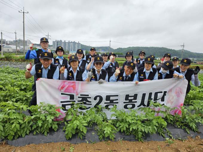 파주시 금촌2동 실버경찰대, ‘금이동네 온동네 감자나눔’으로 이웃사랑 실천